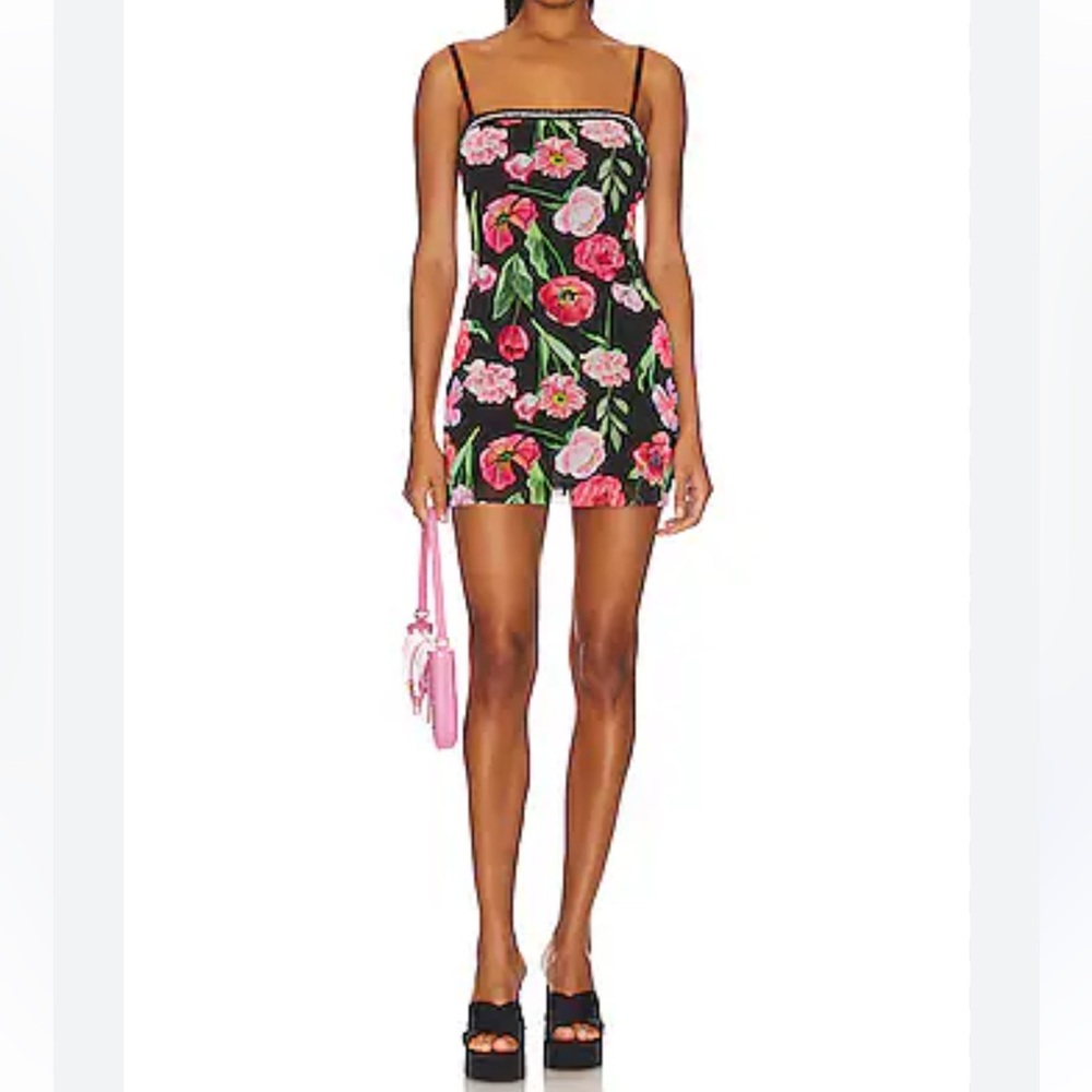 Guizio Rose Floral Mesh Mini Dress